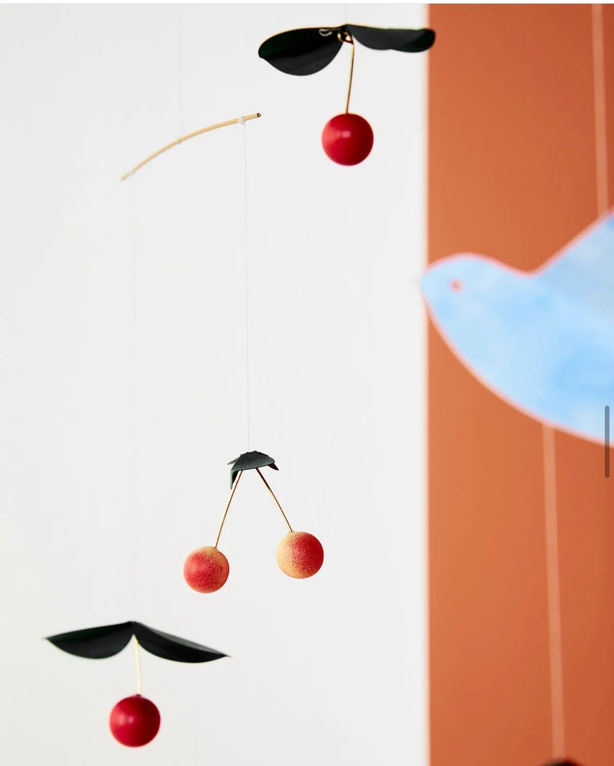 Cherry Bird - Image 7