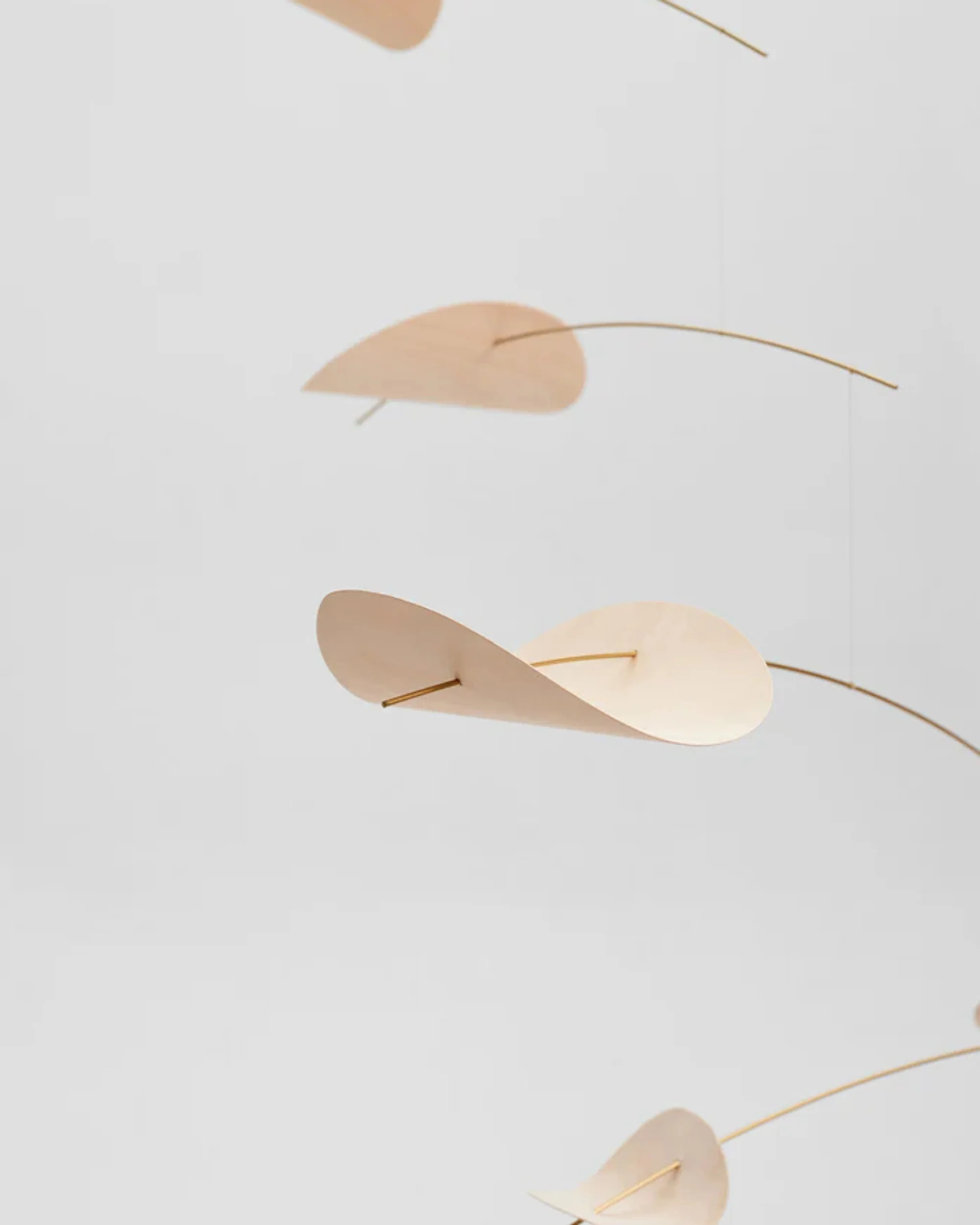 Drifting Clouds - Image 4