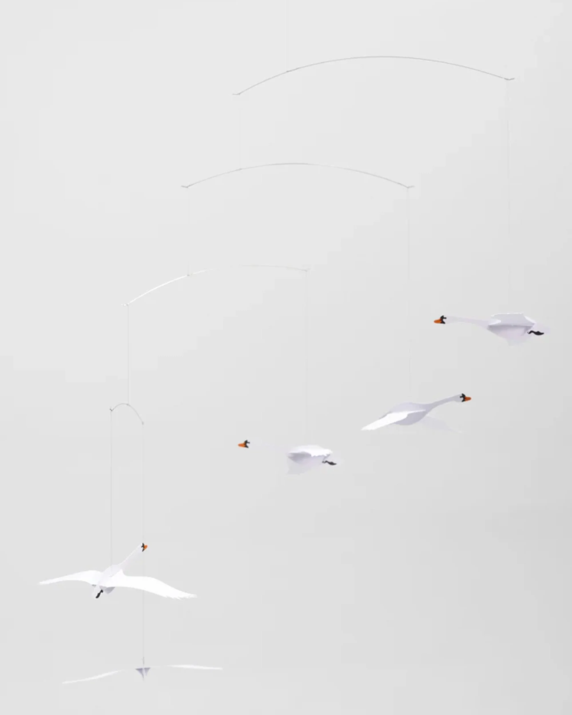 Scandinavian Swans - Image 6