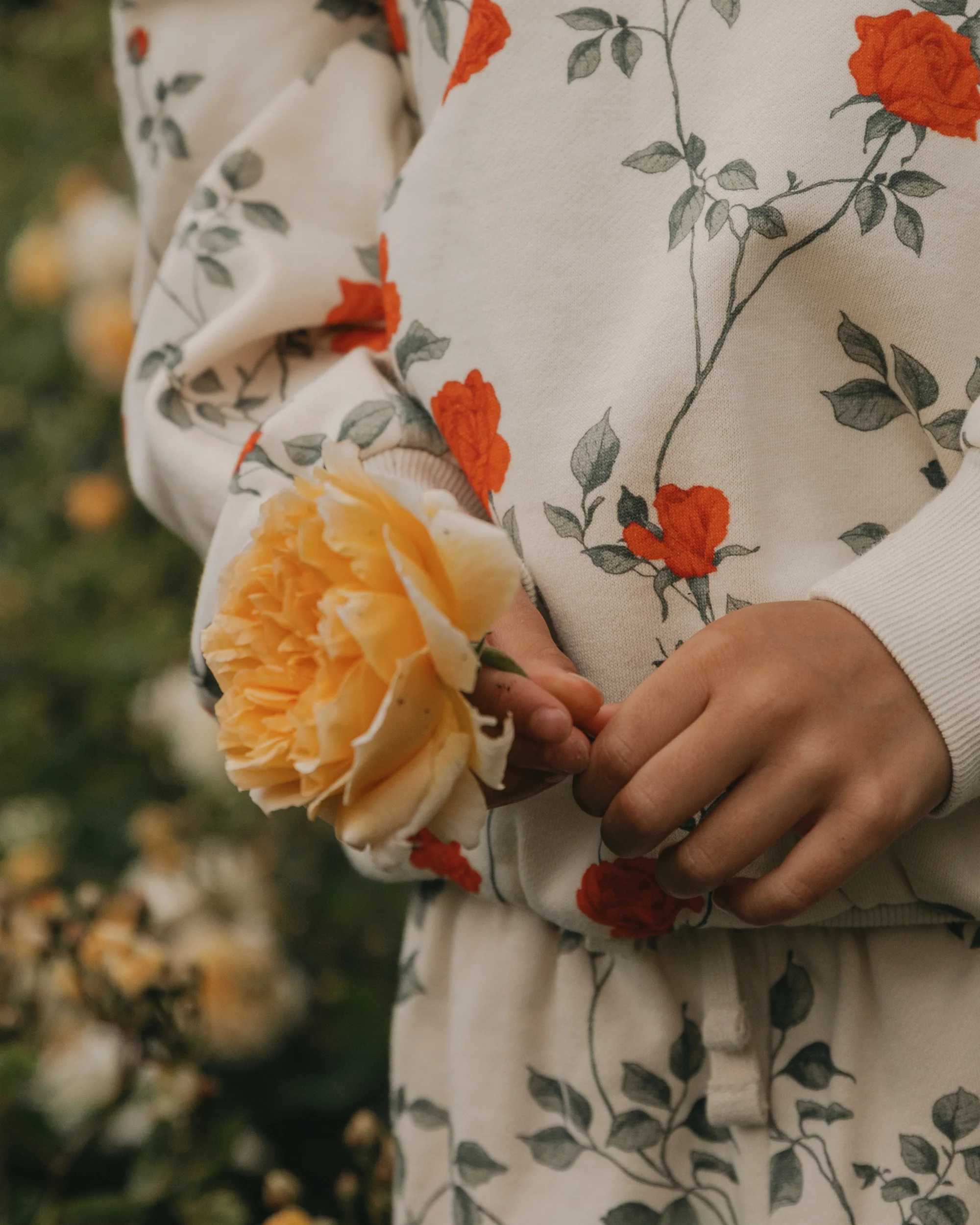 Sweatshirt - Image 4