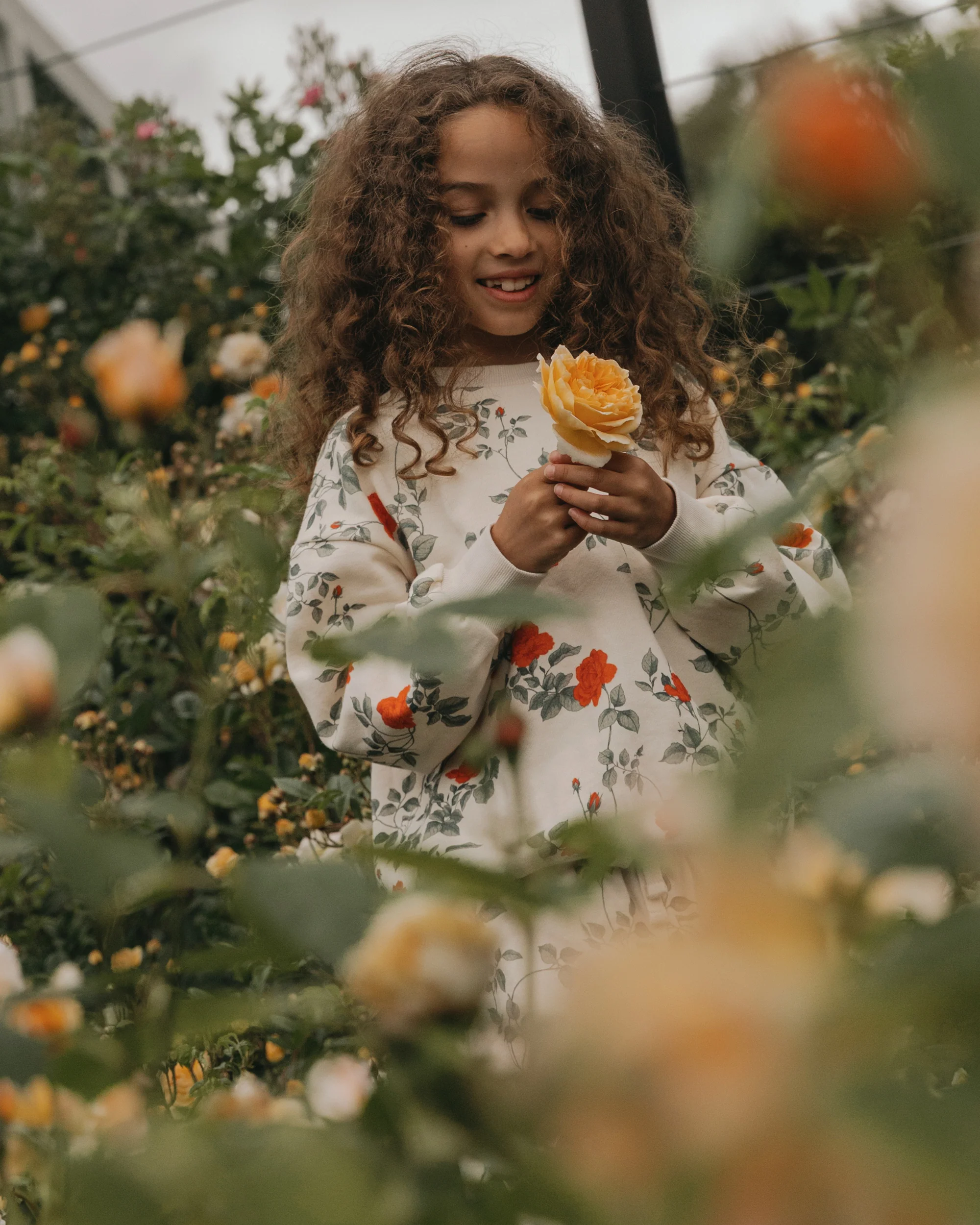 Sweatshirt - Image 5